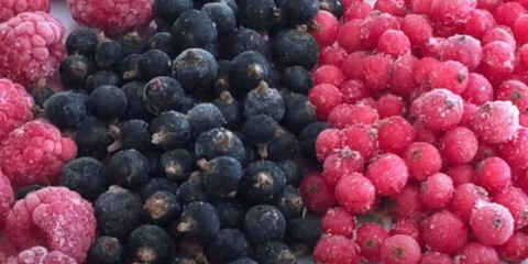 Jak zmrazit rybíz: správné způsoby, jak zmrazit černý a červený rybíz na zimu